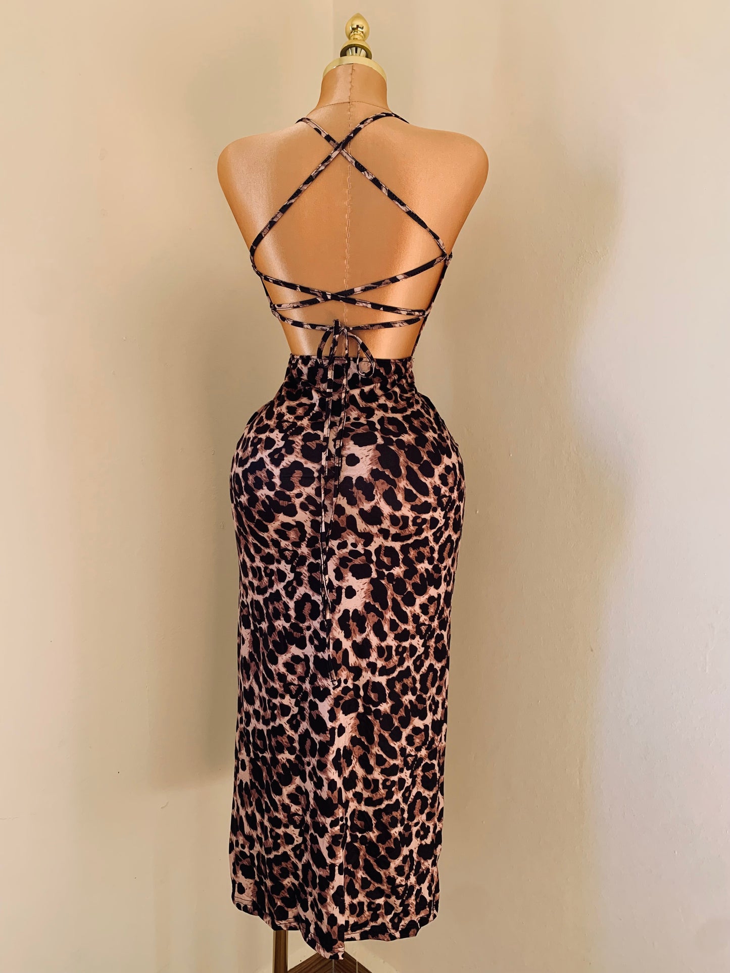 Naya Dress